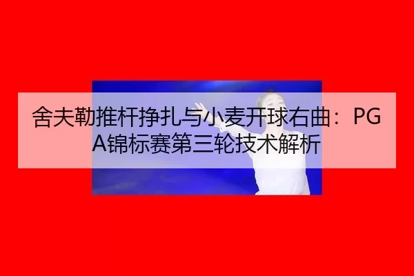 she-fu-lei-tui-gan-zheng-zha-yu-xiao-mai-kai-qiu-you-qu-jin-biao-sai-di-san-lun-ji-shu-jie-xi-3-964.jpg