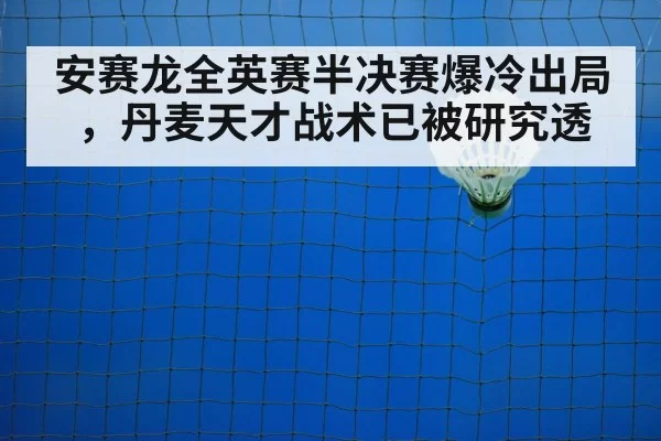 badminton net play